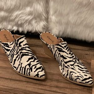 Qupid Zebra mules